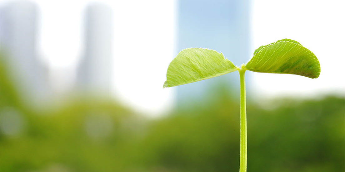 medio ambiente y empresas