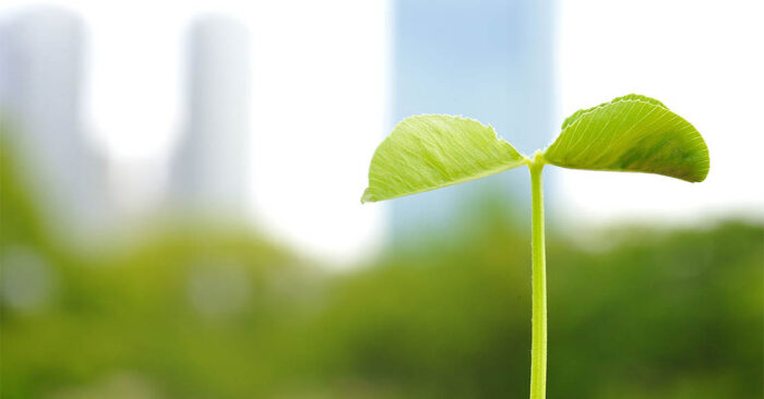 medio ambiente y empresas