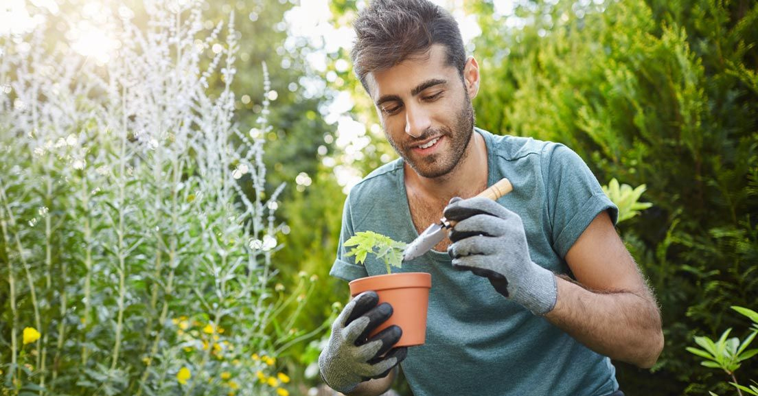 agricultura ecologica