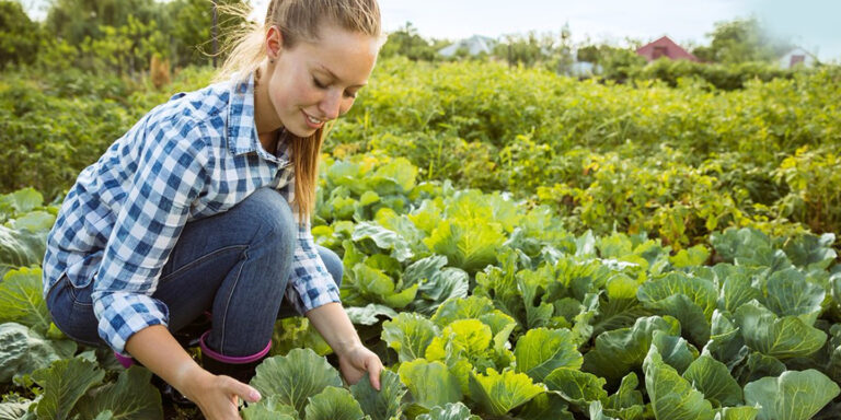 subvenciones seguros destacada subvenciones para seguros
