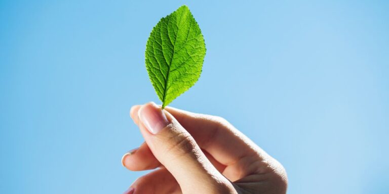 transición verde transición verde