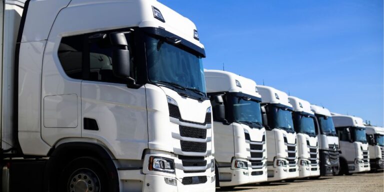 movilidad eléctrica