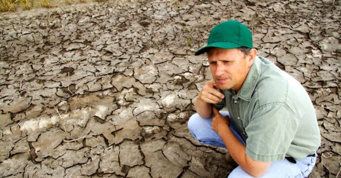 ayudas para agricultores_d