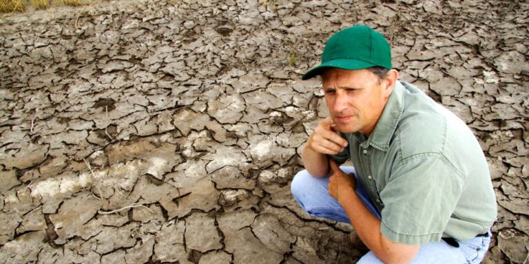 ayudas para agricultores_d ayudas para agricultores_d