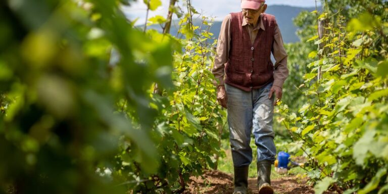 jubilación anticipada destacada