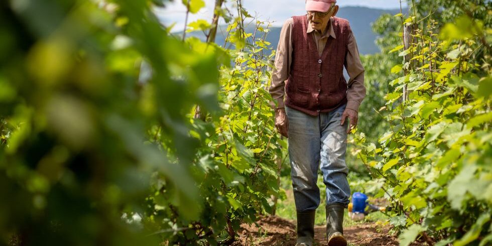 jubilación anticipada destacada