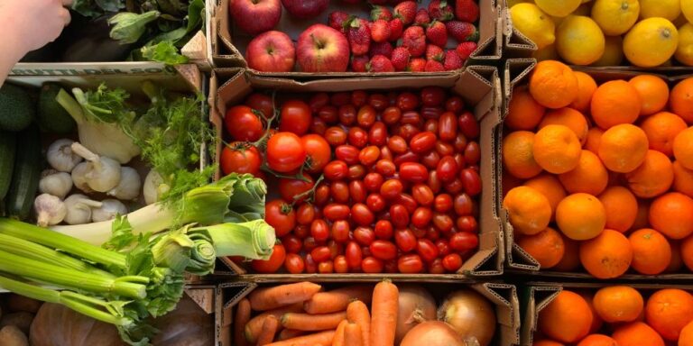 exportación frutas y hortalizas destacada