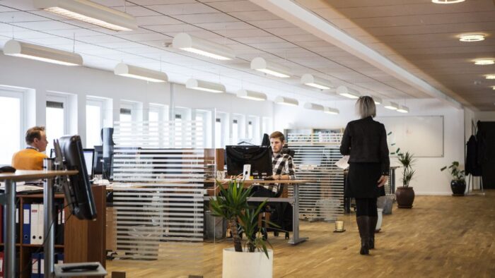empresas de mediana capitalizacion