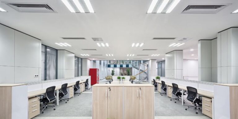 activo esencial sociedad limitada activo esencial sociedad limitada