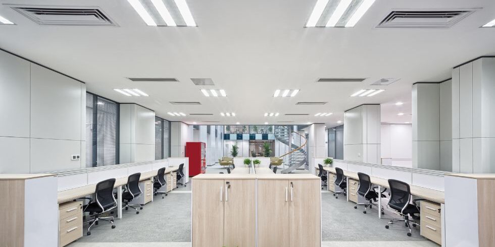 activo esencial sociedad limitada activo esencial sociedad limitada